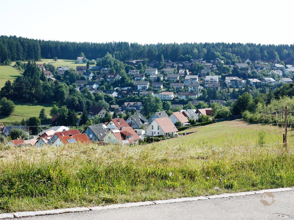 Kuckucksnest Apartment Unterkirnach ห้อง รูปภาพ